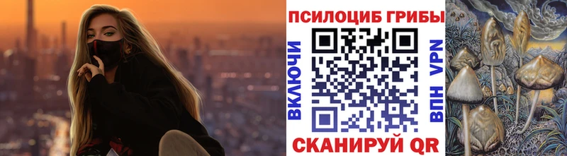 Псилоцибиновые грибы прущие грибы Раменское