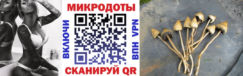 Галлюциногенные грибы Psilocybe  Купить закладки  Раменское 