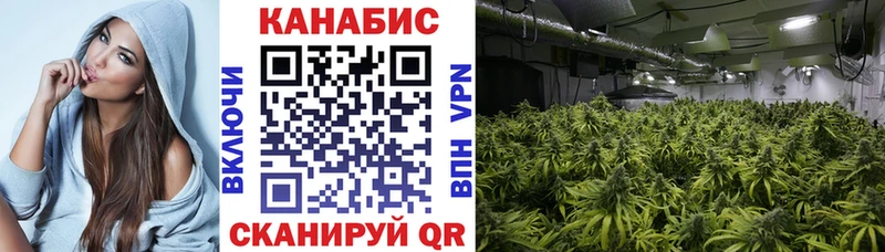 Каннабис конопля  Купить закладки  Раменское 